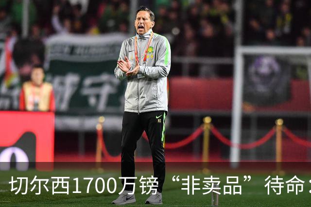 切尔西1700万镑“非卖品”待命：大马丁伤退，冬窗会补门将吗？
