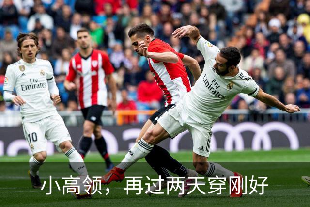 小高领，再过两天穿刚好